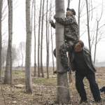 des yeux et des bras