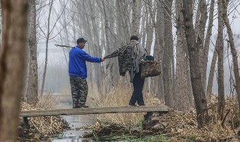 Des Yeux Et Des Bras4 Des Yeux Et Des Bras4