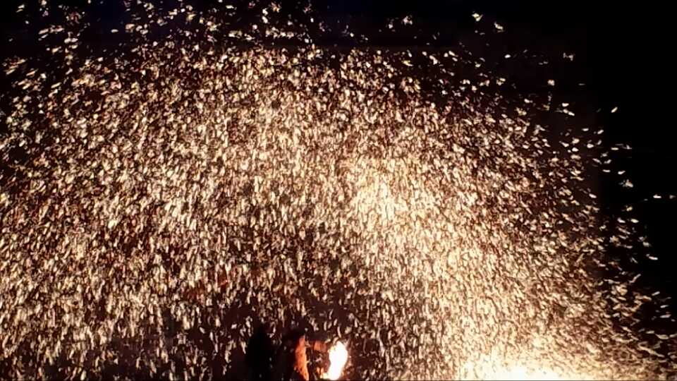 mmexport1391762376483