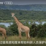 post-ambassade-usa-chine